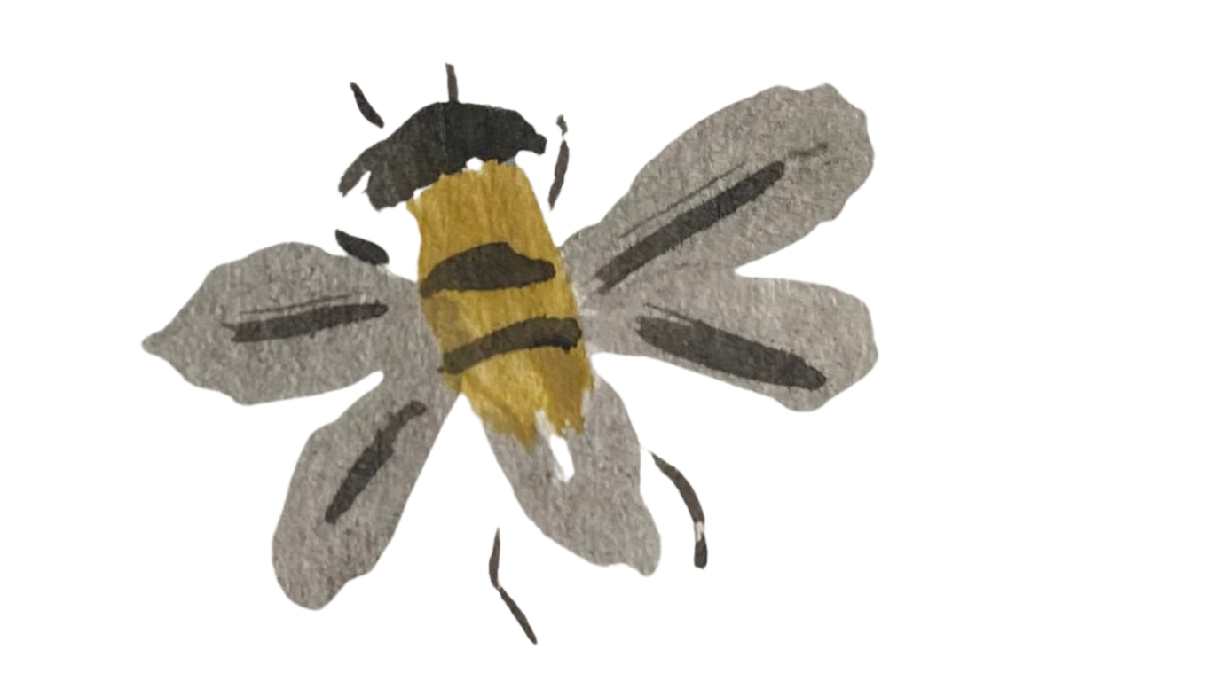 Bee illustration