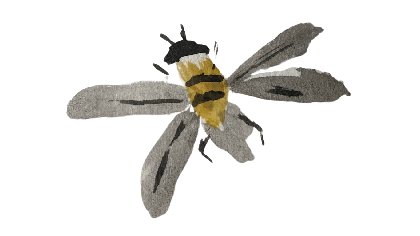 Bee illustration