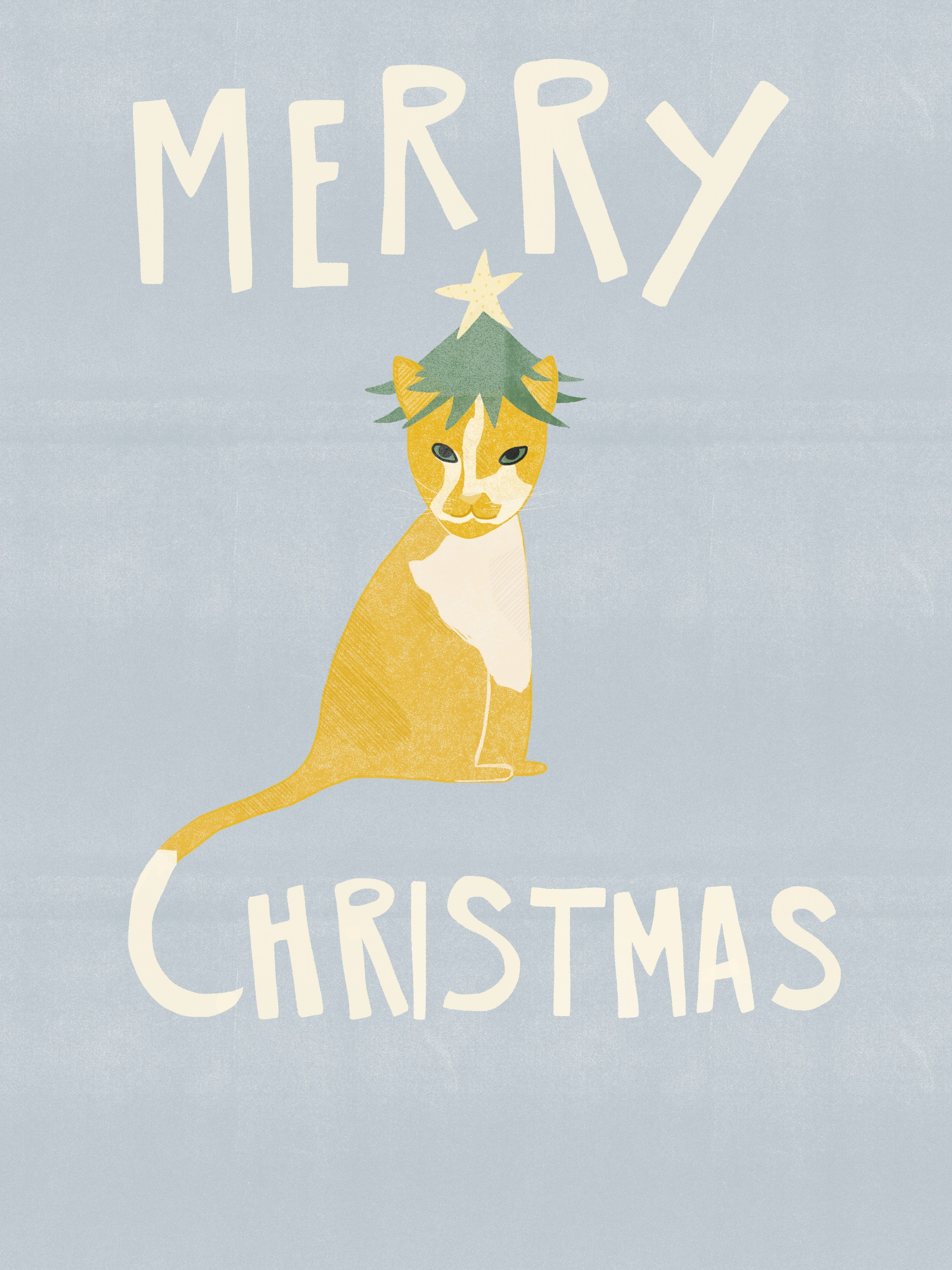 Cat xmas illustration